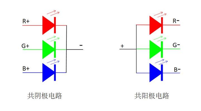 圖片5